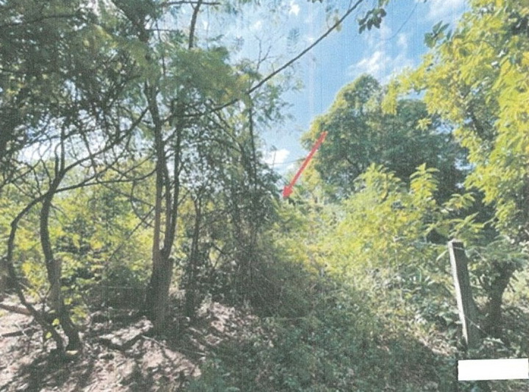 ที่ดินเปล่า ขอนแก่น เมืองขอนแก่น บ้านเป็ด 720000