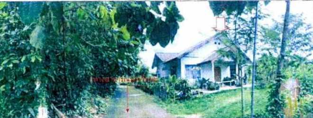 บ้านเดี่ยว หนองคาย รัตนวาปี รัตนวาปี 528000