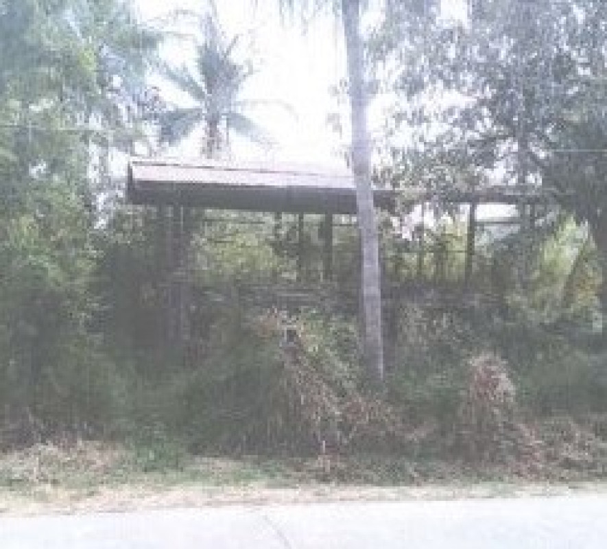 บ้านเดี่ยว ขอนแก่น มัญจาคีรี สวนหม่อน 254600