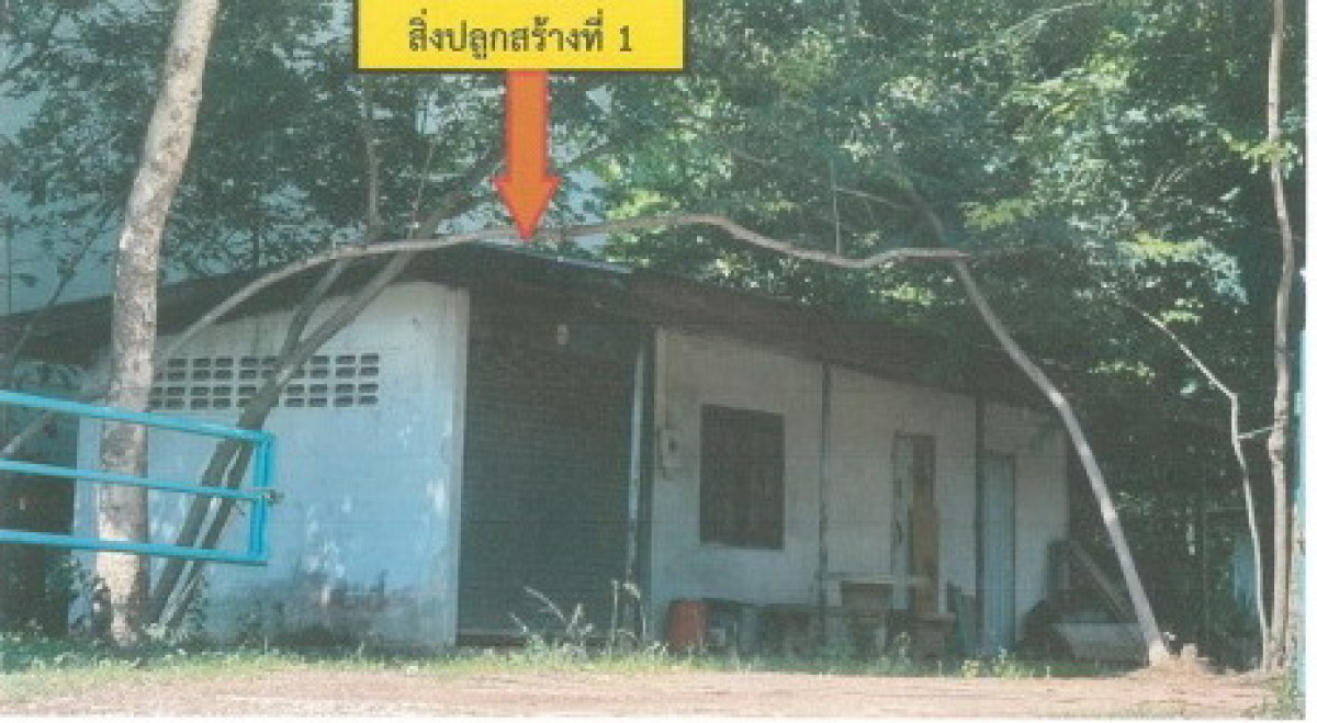 บ้านเดี่ยว กาฬสินธุ์ กุฉินารายณ์ บัวขาว 977160