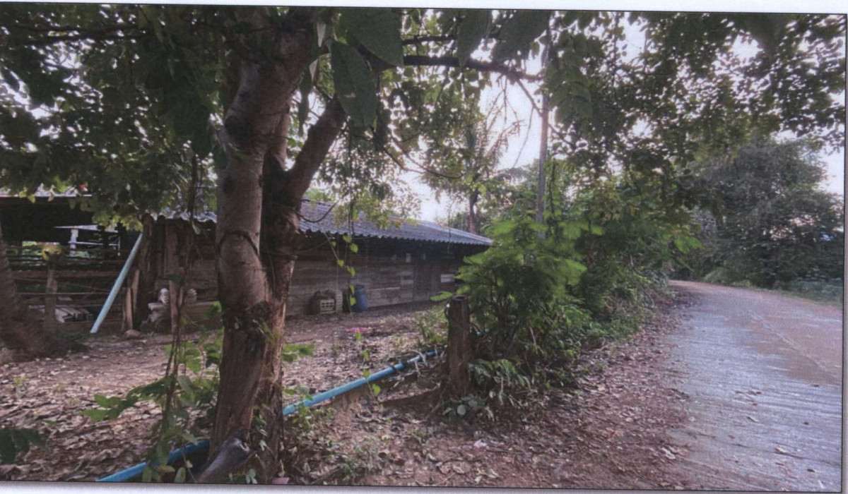 บ้านเดี่ยว ตาก เมืองตาก วังประจบ 110740