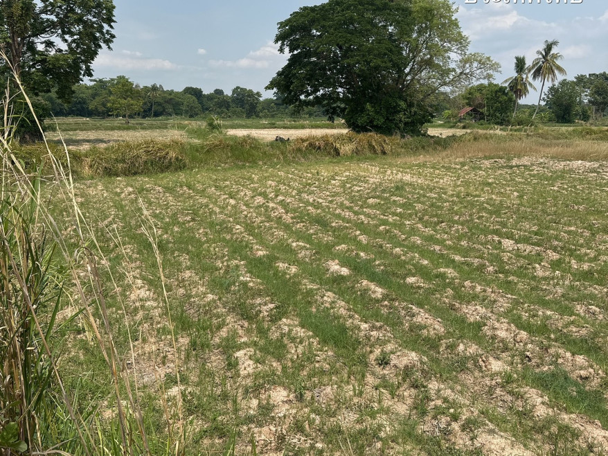 ที่ดินเปล่า กาฬสินธุ์ เมืองกาฬสินธุ์ โพนทอง 5100000