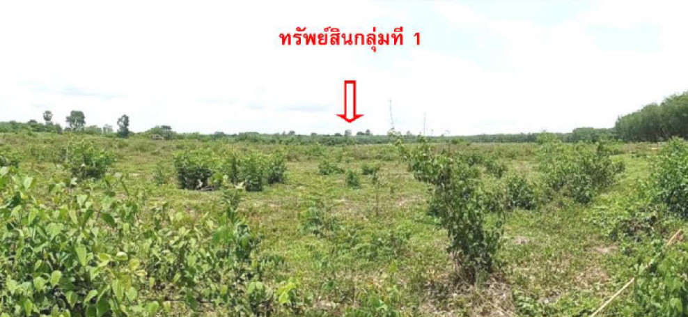 ที่ดินเปล่า บึงกาฬ เซกา ท่ากกแดง 1439000