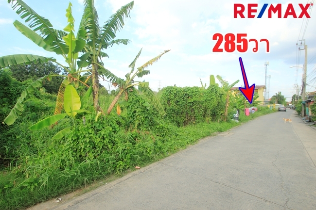 ที่ดินเปล่า กรุงเทพมหานคร หนองแขม หนองแขม 5130000