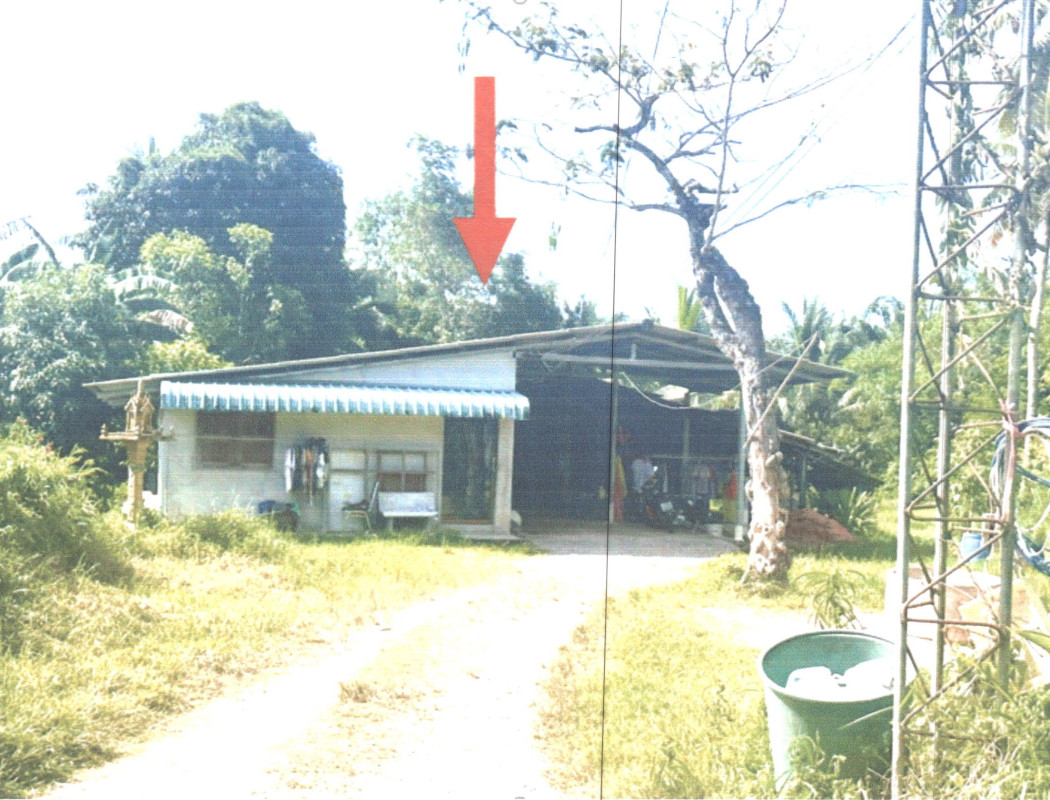 บ้านเดี่ยว พัทลุง เมืองพัทลุง ปรางหมู่ 817144