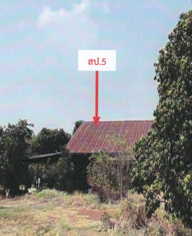 บ้านเดี่ยว นครสวรรค์ ไพศาลี ไพศาลี 5695758
