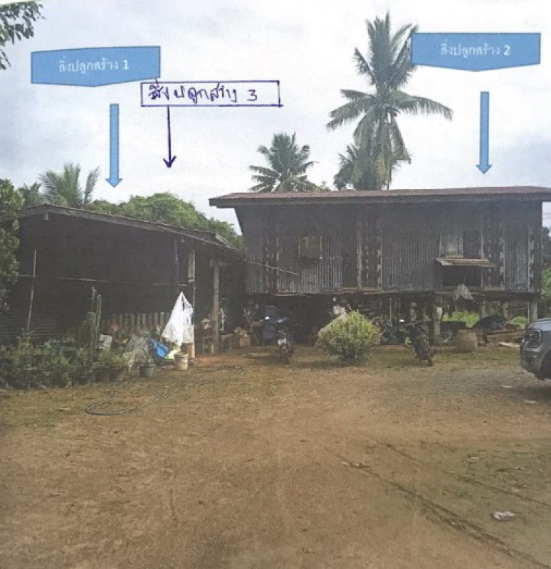 บ้านเดี่ยว พิษณุโลก วังทอง วังพิกุล 280234