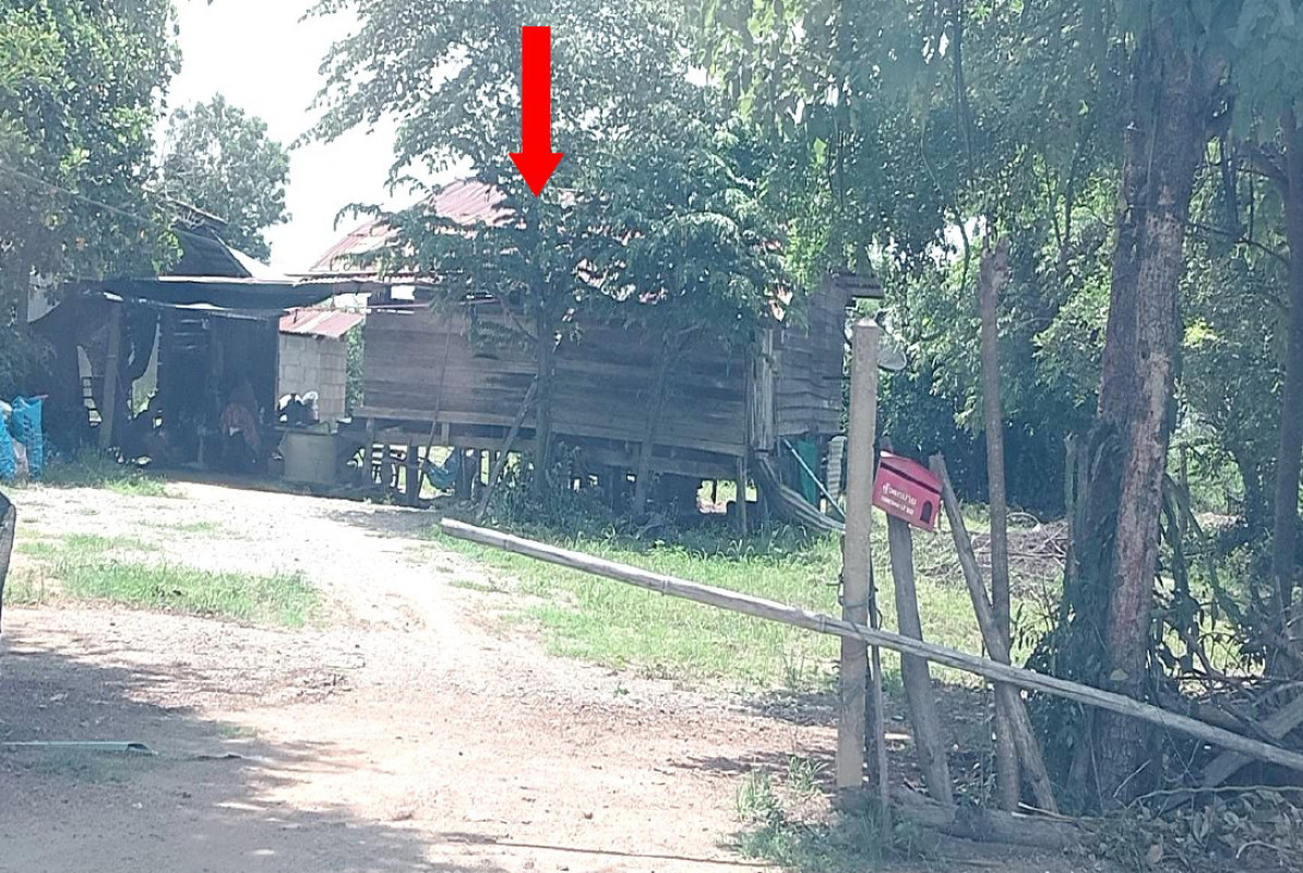 บ้านเดี่ยว สุโขทัย ศรีสำโรง วังใหญ่ 159883