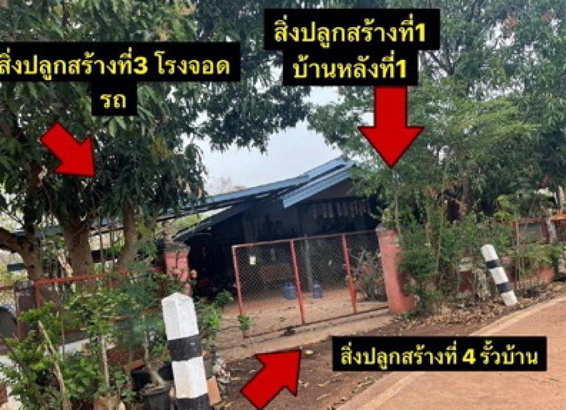 บ้านเดี่ยว สกลนคร เมืองสกลนคร ท่าแร่ 985215