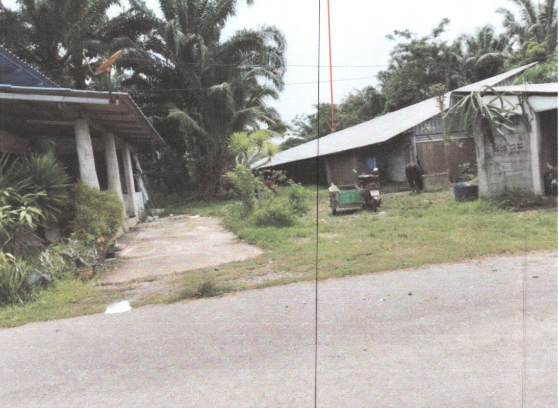 Single house Phatthalung Mueang Phatthalung Tha Khae 2826000