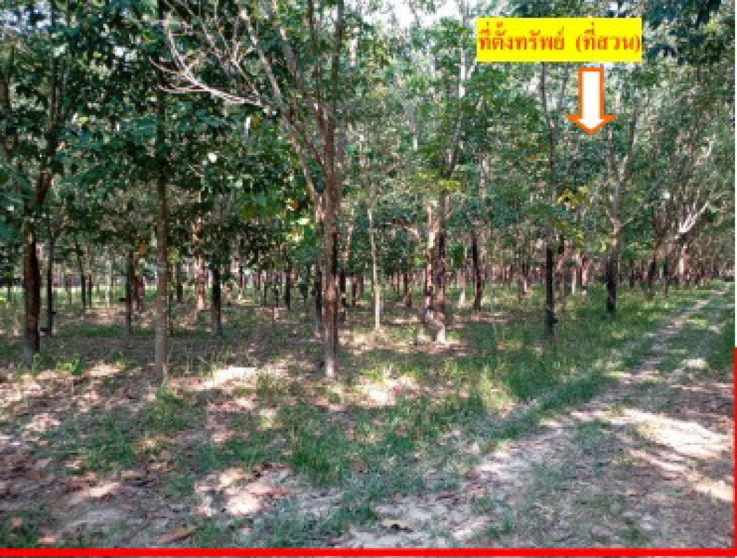 ที่ดินเปล่า หนองคาย โพนพิสัย จุมพล 525300