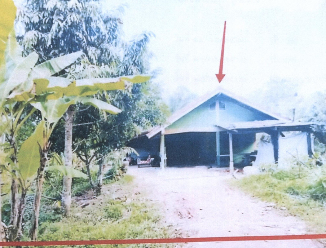 บ้านเดี่ยว พัทลุง ป่าบอน โคกทราย 1032920