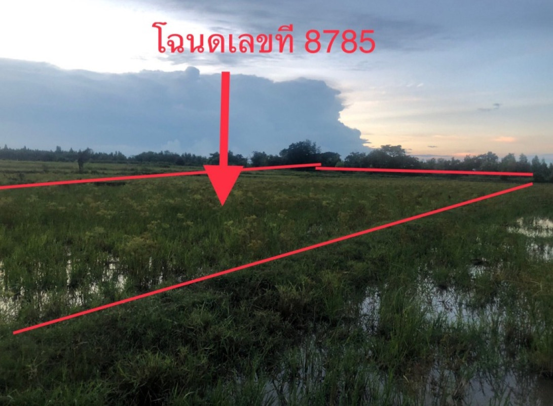 ที่ดินเปล่า ขอนแก่น แวงใหญ่ โนนสะอาด 367796