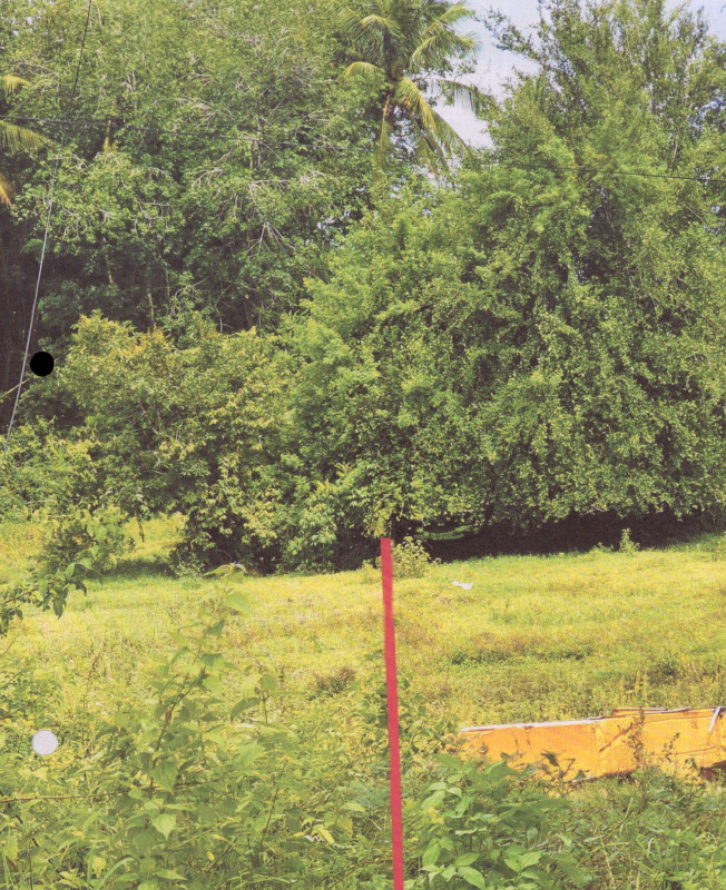 Residential land/lot Songkhla Khuan Niang Khuan So 302775