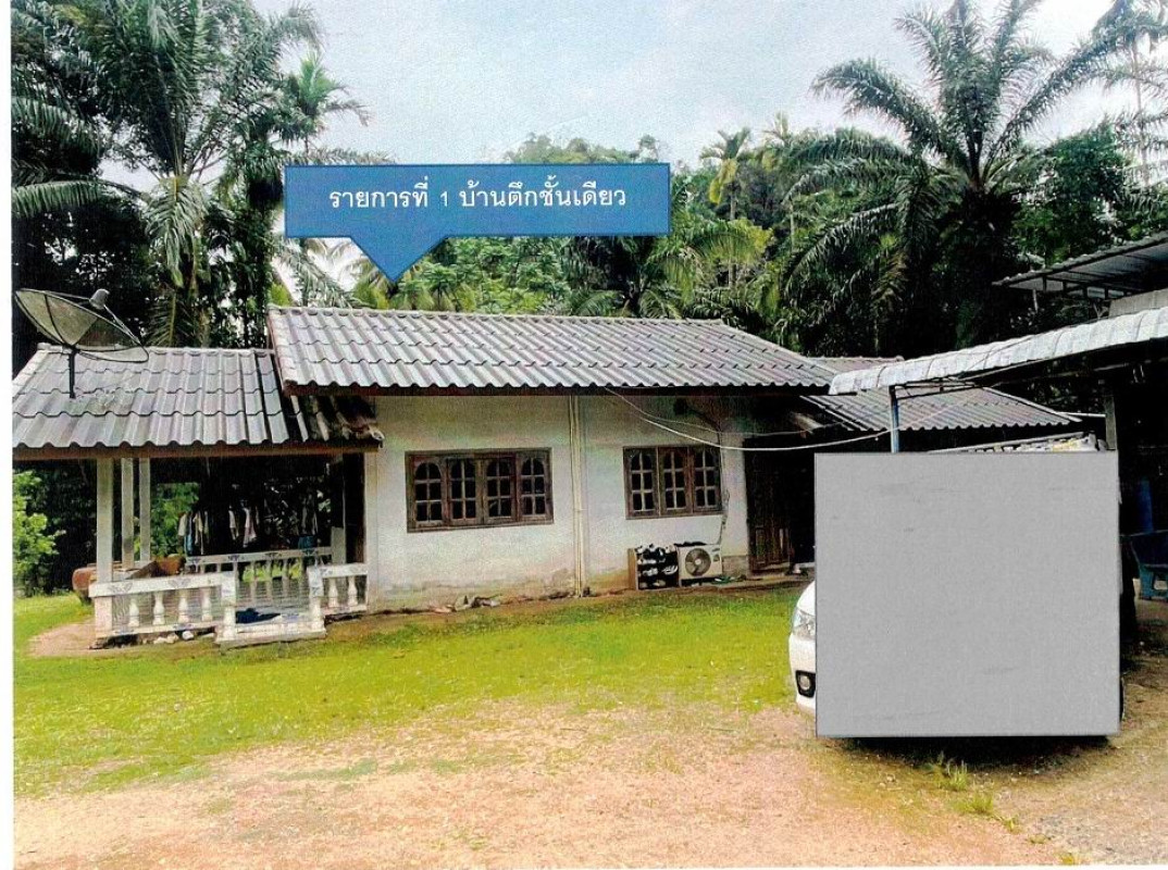 บ้านเดี่ยว นครศรีธรรมราช บางขัน บ้านลำนาว 1664438