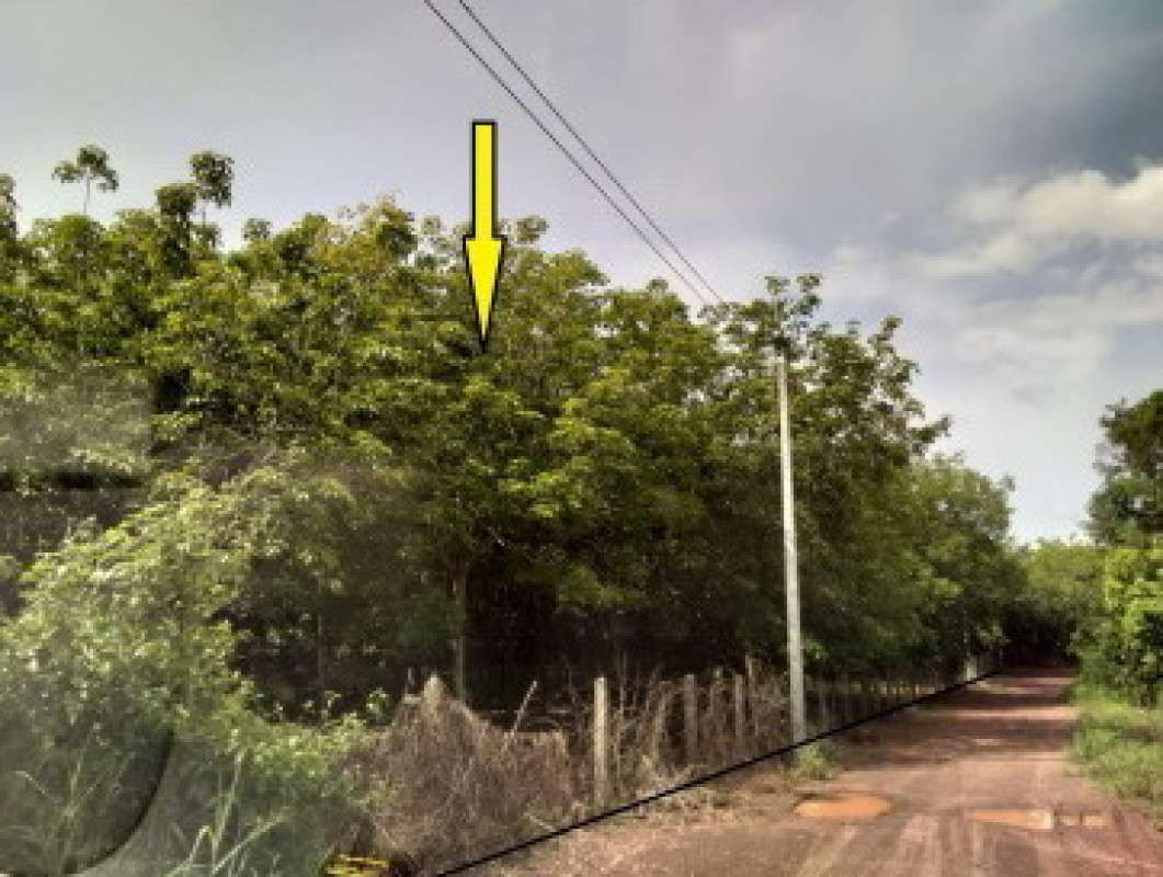 ที่ดินเปล่า หนองคาย โพนพิสัย วัดหลวง 682350