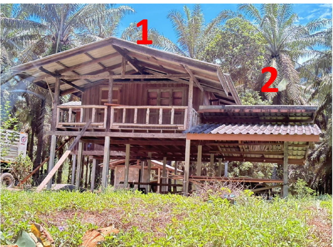 บ้านเดี่ยว สุราษฎร์ธานี พนม พลูเถื่อน 974400