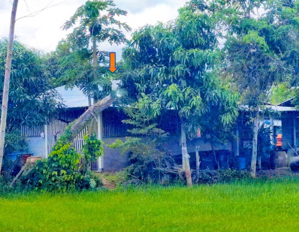 Single house Si Sa Ket Mueang Chan Nong Yai 791340