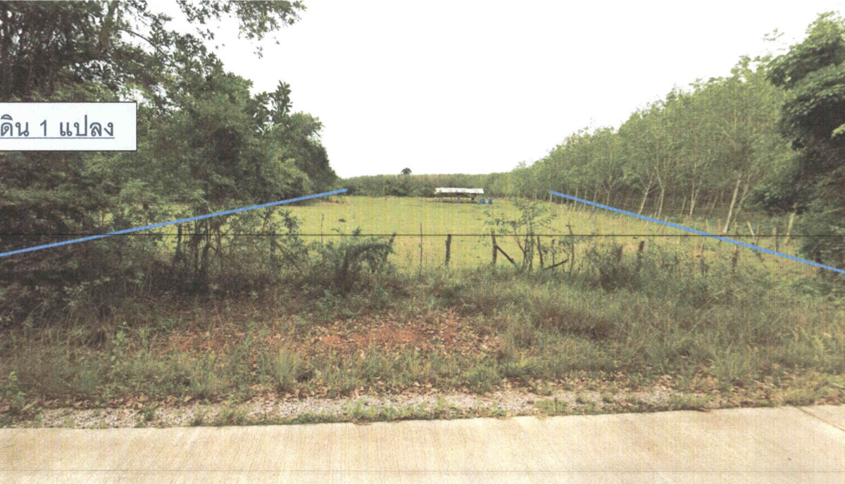 ที่ดินเปล่า พัทลุง ควนขนุน ชะมวง 1084600