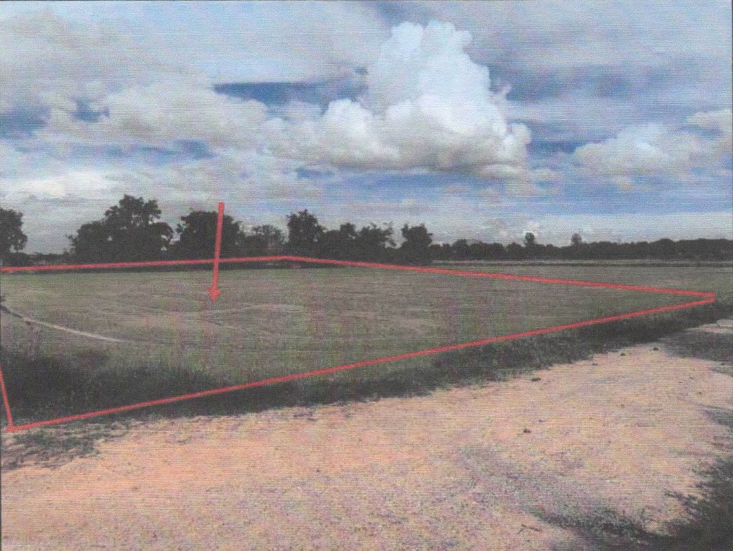 ที่ดินเปล่า นครสวรรค์ เก้าเลี้ยว มหาโพธิ 254600