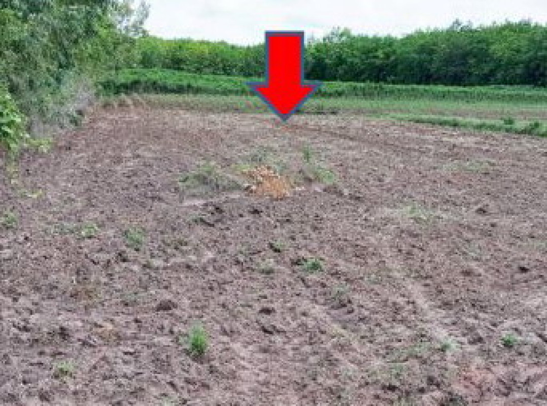 ที่ดินเปล่า อุบลราชธานี น้ำยืน เก่าขาม 20550