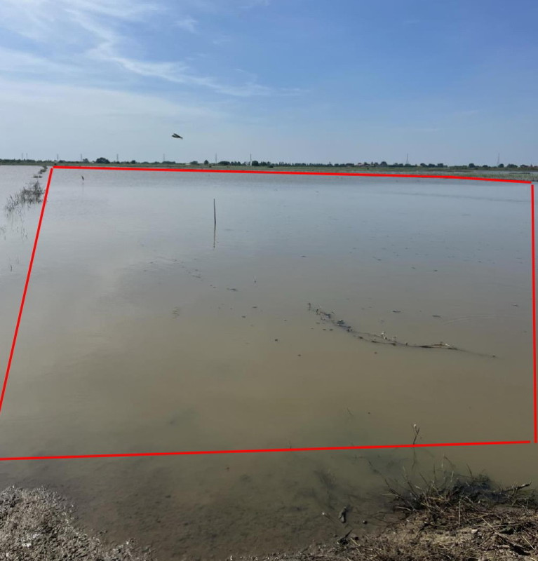 Residential land/lot Ang Thong Wiset Chai Chan Bang Chak 517635