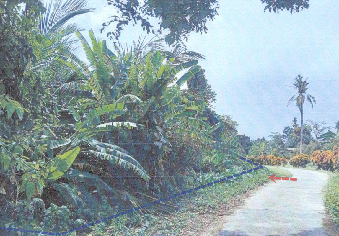 Residential land/lot Nakhon Si Thammarat Nopphitam Karo 821588