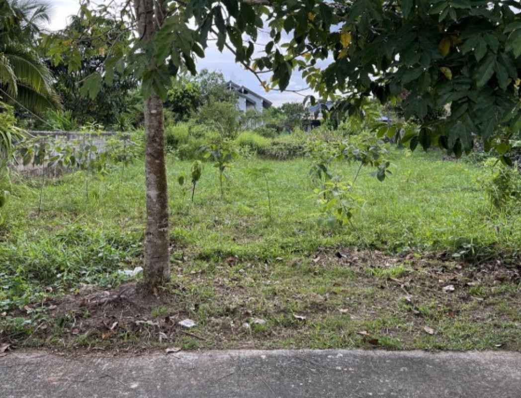 Residential land/lot Nakhon Si Thammarat Cha-uat Tha Samet 600000
