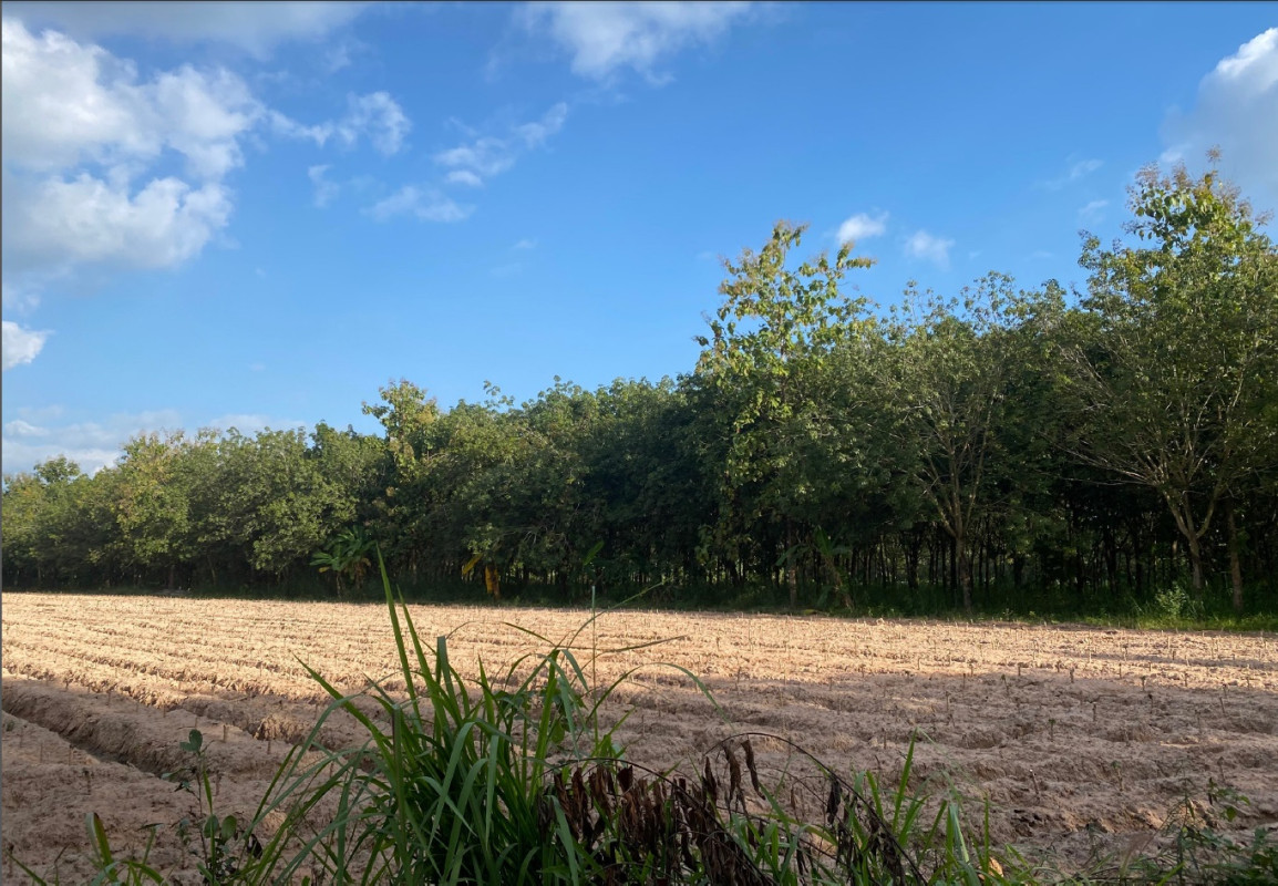 Residential land/lot Udon Thani Kut Chap Khon Yung 2234650