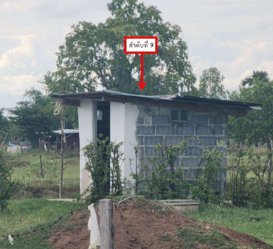 บ้านเดี่ยว ขอนแก่น บ้านไผ่ บ้านลาน 2951200