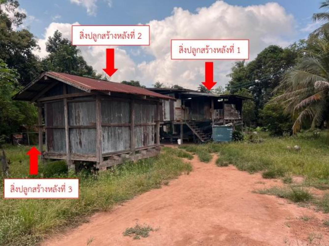 บ้านเดี่ยว พิษณุโลก พรหมพิราม ทับยายเชียง 346290