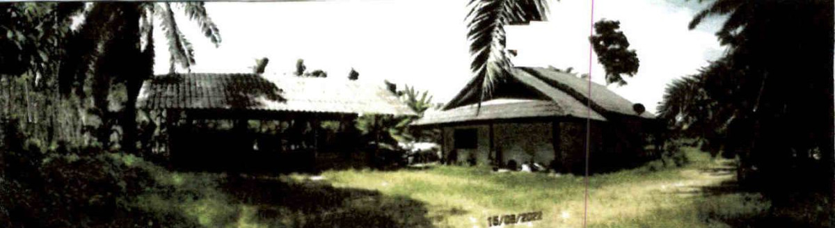 Single house Surat Thani Khiri Rat Nikhom Nam Hak 1463640