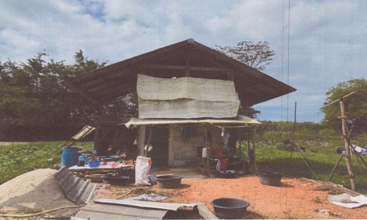 Single house Songkhla Rattaphum Kamphaeng Phet 3244860