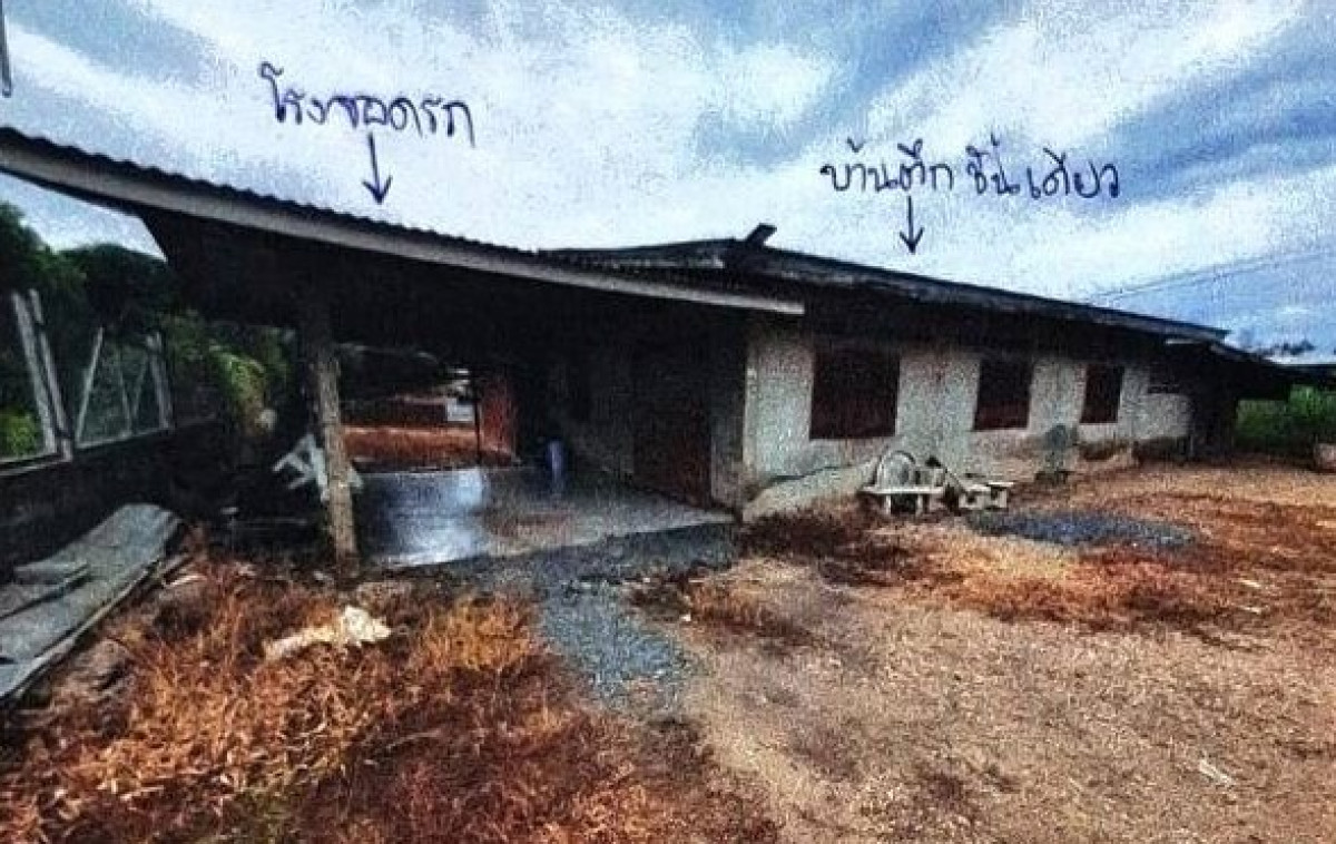 บ้านเดี่ยว พิษณุโลก บางระกำ บึงกอก 251390