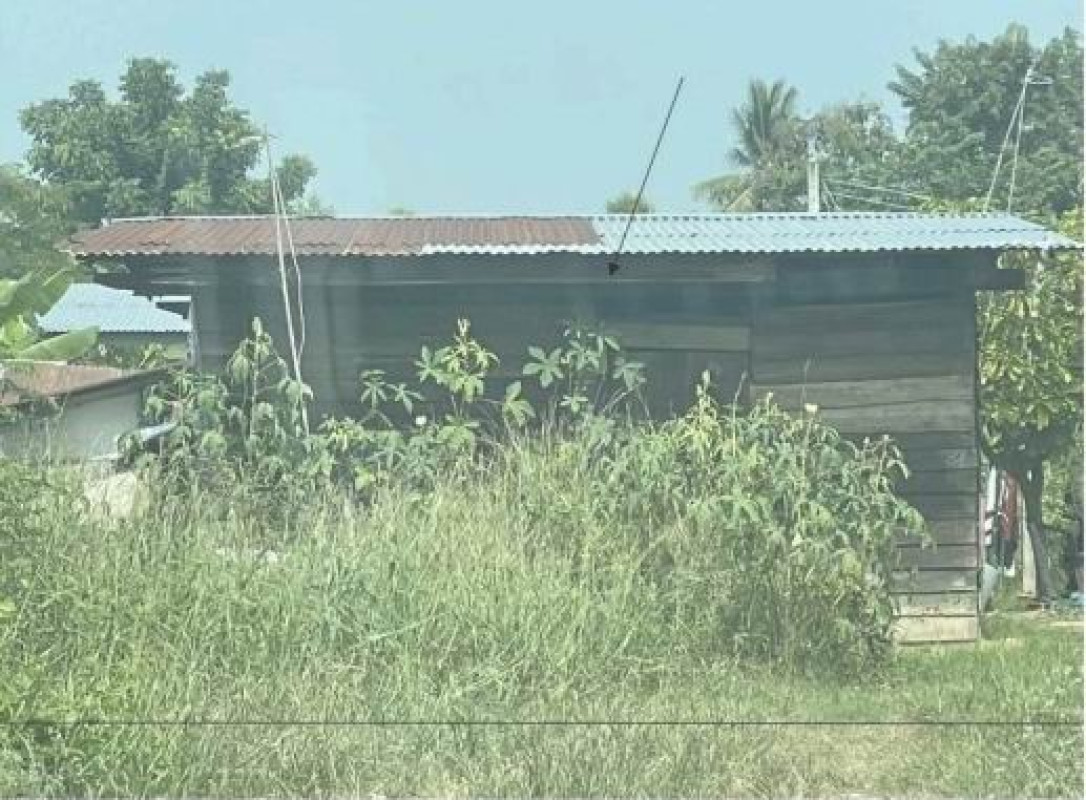 บ้านเดี่ยว พิษณุโลก บางระกำ นิคมพัฒนา 194000