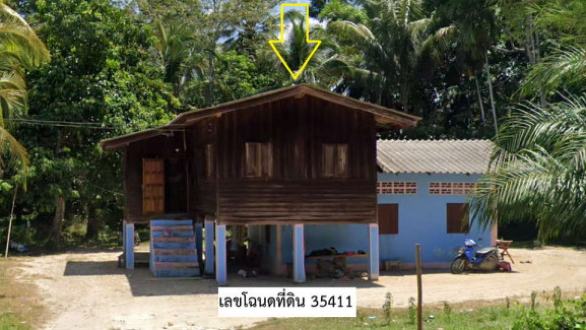 บ้านเดี่ยว นครศรีธรรมราช ท่าศาลา หัวตะพาน 1091678