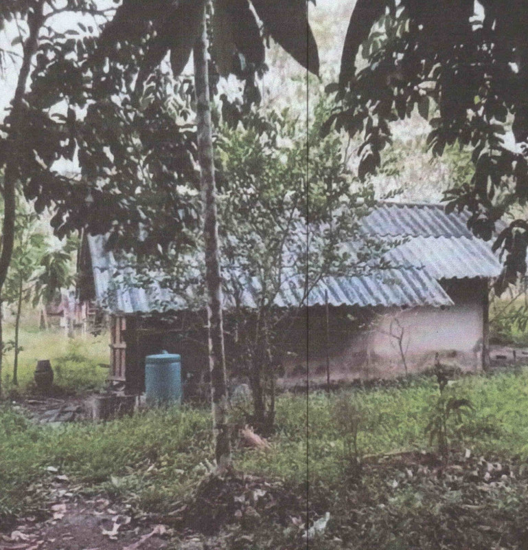 บ้านเดี่ยว พัทลุง ป่าบอน หนองธง 336080