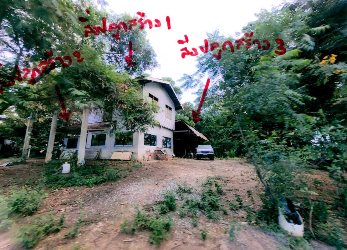 บ้านเดี่ยว พิษณุโลก วังทอง วังทอง 1188450