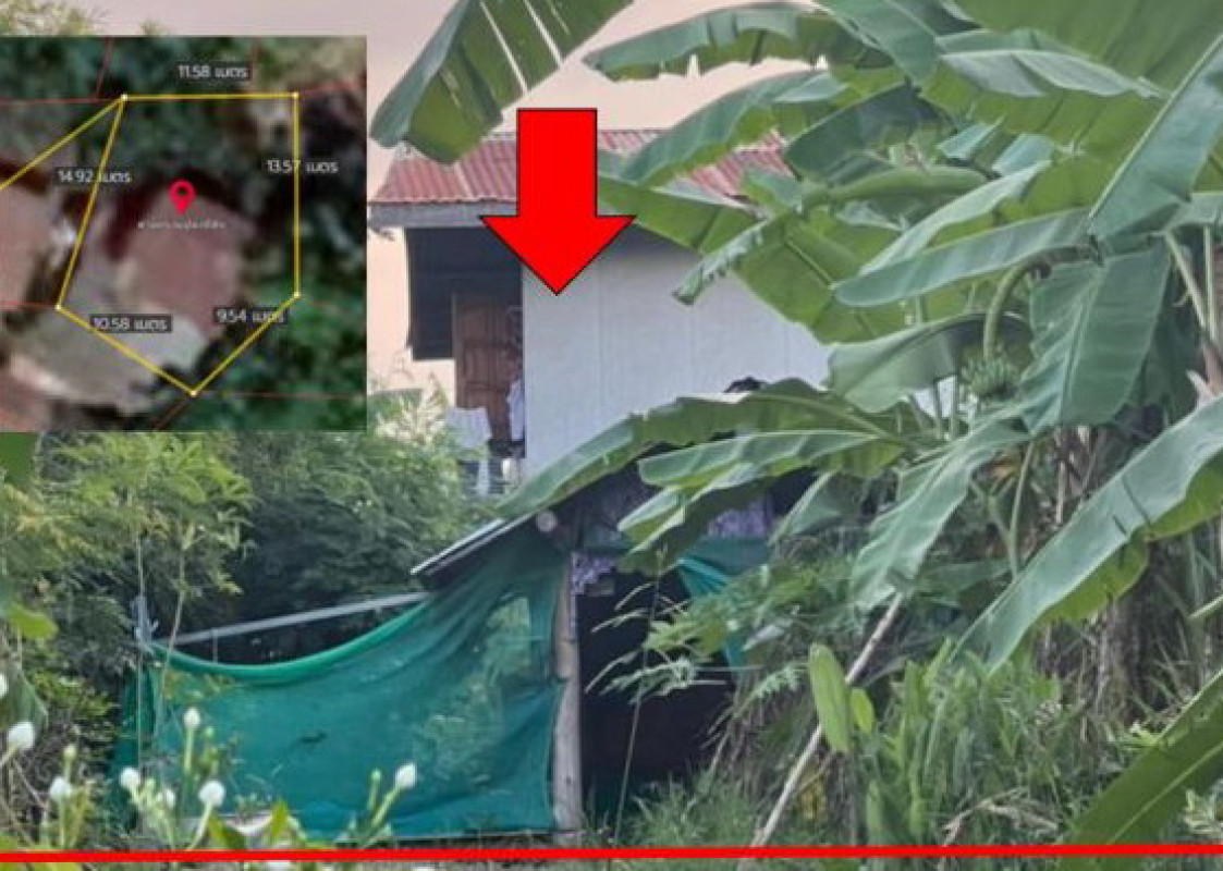 บ้านเดี่ยว ขอนแก่น บ้านไผ่ เมืองเพีย 308780