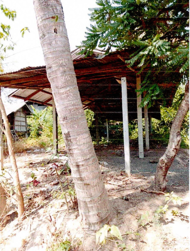 บ้านเดี่ยว ศรีสะเกษ ราษีไศล จิกสังข์ทอง 59450
