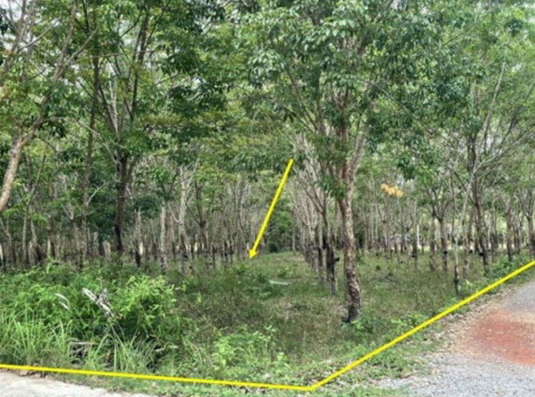 ที่ดินเปล่า นครพนม บ้านแพง ไผ่ล้อม 1257950