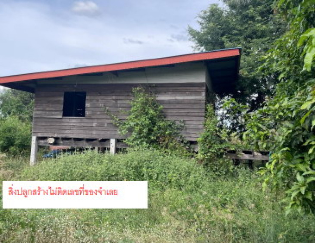Single house Phitsanulok Wang Thong Wang Phikun 532630