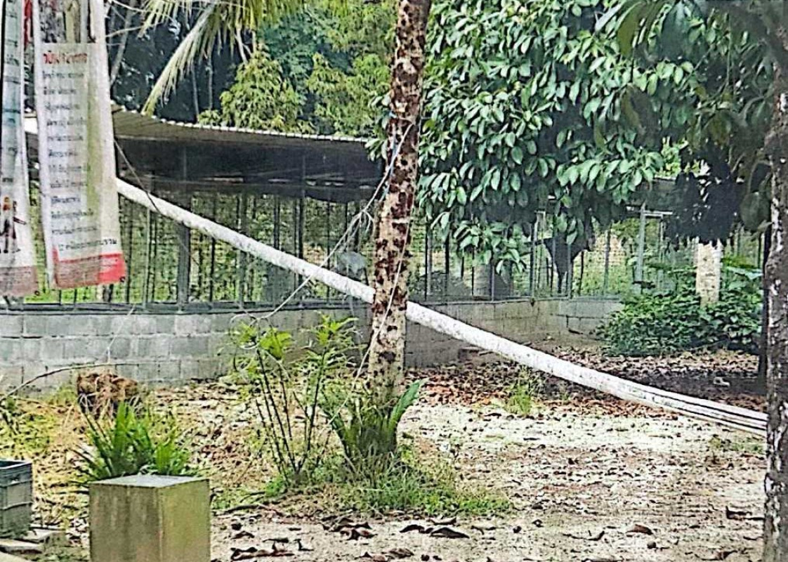Single house Nakhon Si Thammarat Phipun Yang Khom 87940
