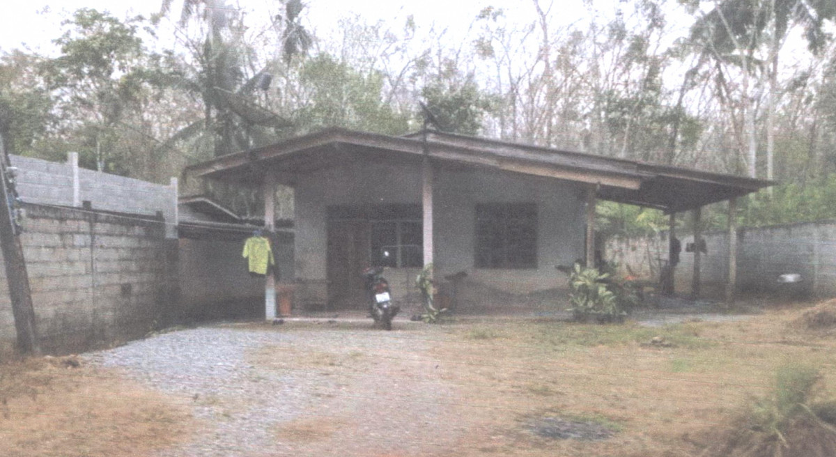 บ้านเดี่ยว พัทลุง ศรีบรรพต ตะแพน 524640
