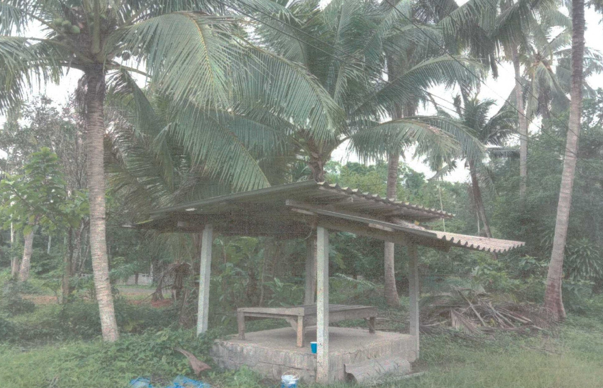 บ้านเดี่ยว นครศรีธรรมราช ทุ่งสง นาหลวงเสน 155625