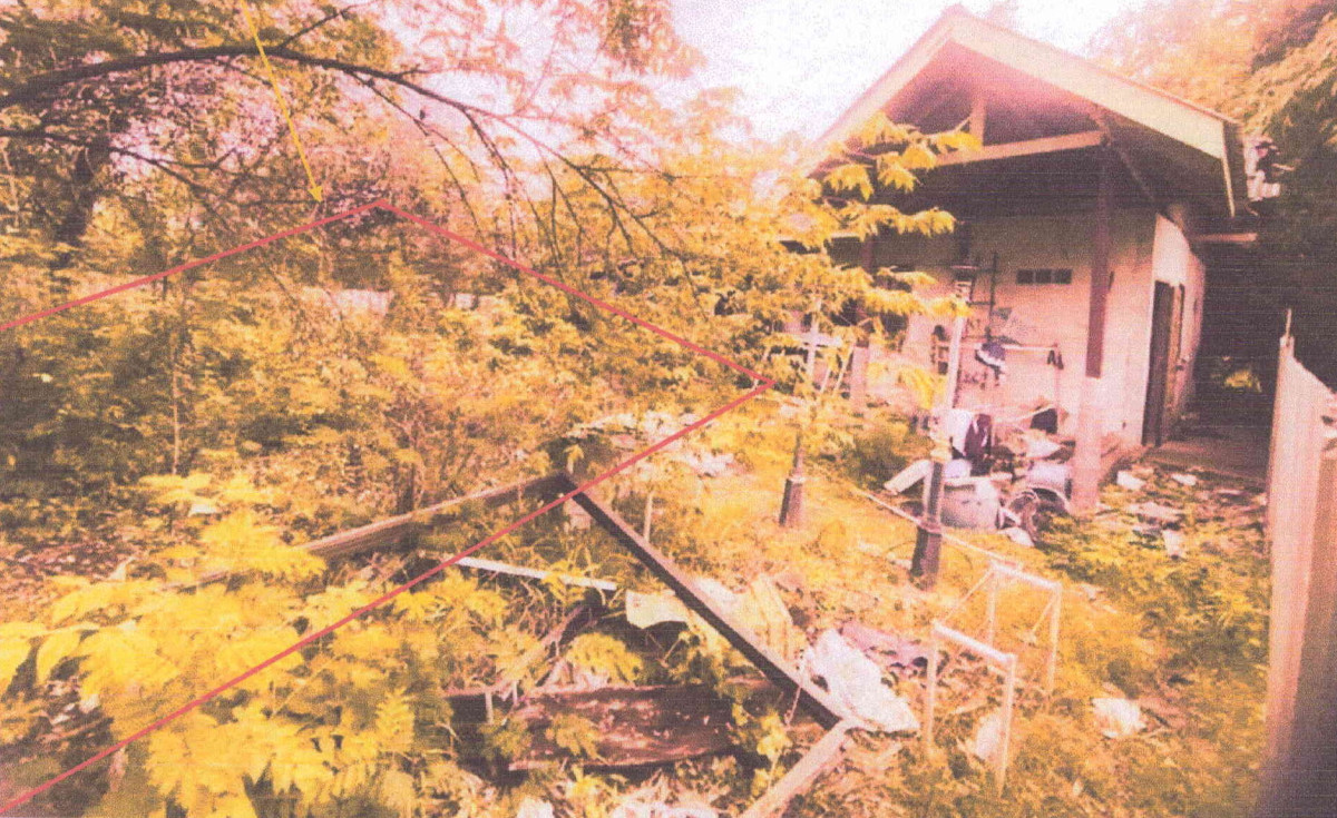 ที่ดินเปล่า ลพบุรี เมืองลพบุรี ป่าตาล 157350