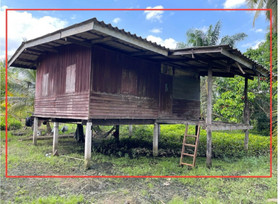 บ้านเดี่ยว สุราษฎร์ธานี เมืองสุราษฎร์ธานี วัดประดู่ 281000