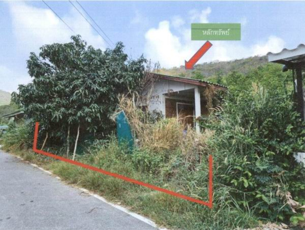 บ้านเดี่ยว ชลบุรี สัตหีบ พลูตาหลวง 966000