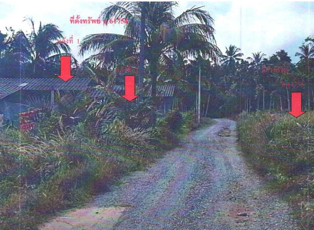 Single house Nakhon Si Thammarat Thung Song Khao Ro 929090