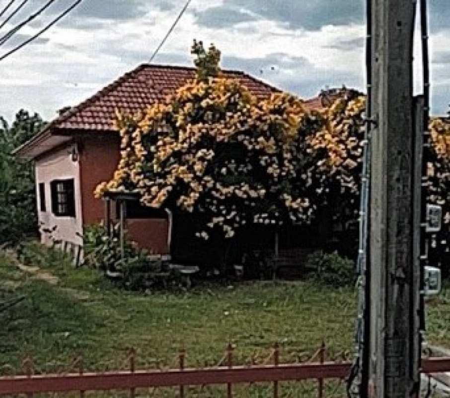 บ้านเดี่ยว ยโสธร เมืองยโสธร ตาดทอง 793180